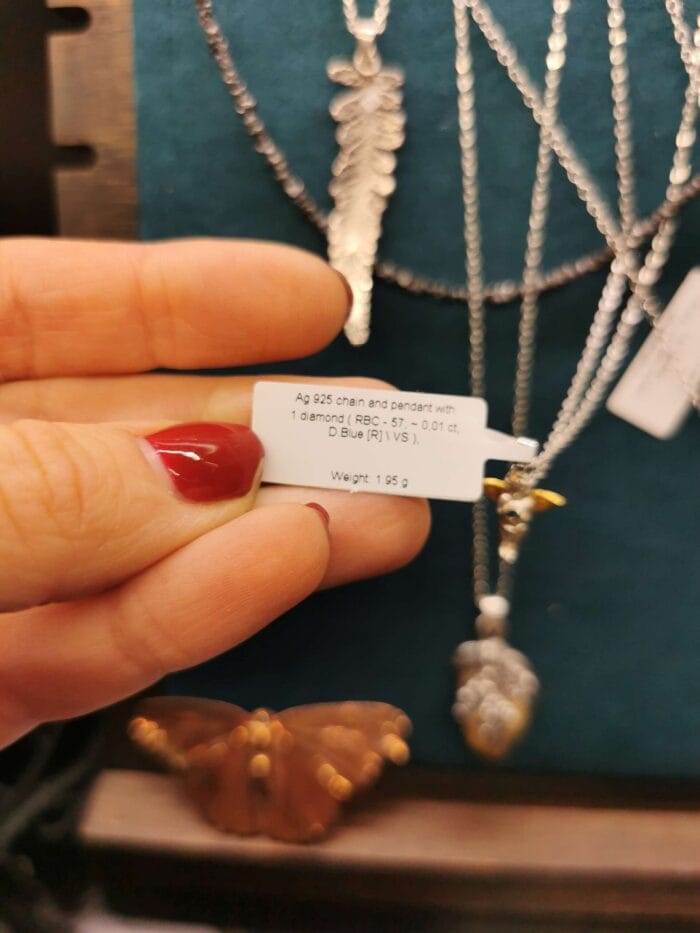 Dangiškasis globėjas su mėlynu deimantu – Paveikslėlis 2