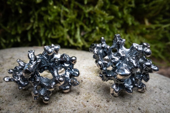 Tamsios kerpės – Paveikslėlis 2