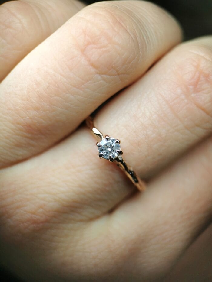 Žemės galia – Paveikslėlis 2