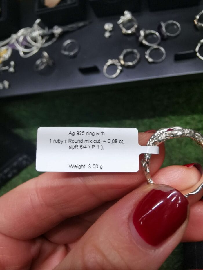 Koralas su rubinu – Paveikslėlis 6