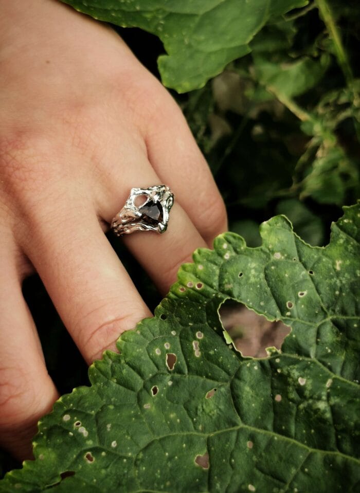 Sidabrinė aušra – Paveikslėlis 2