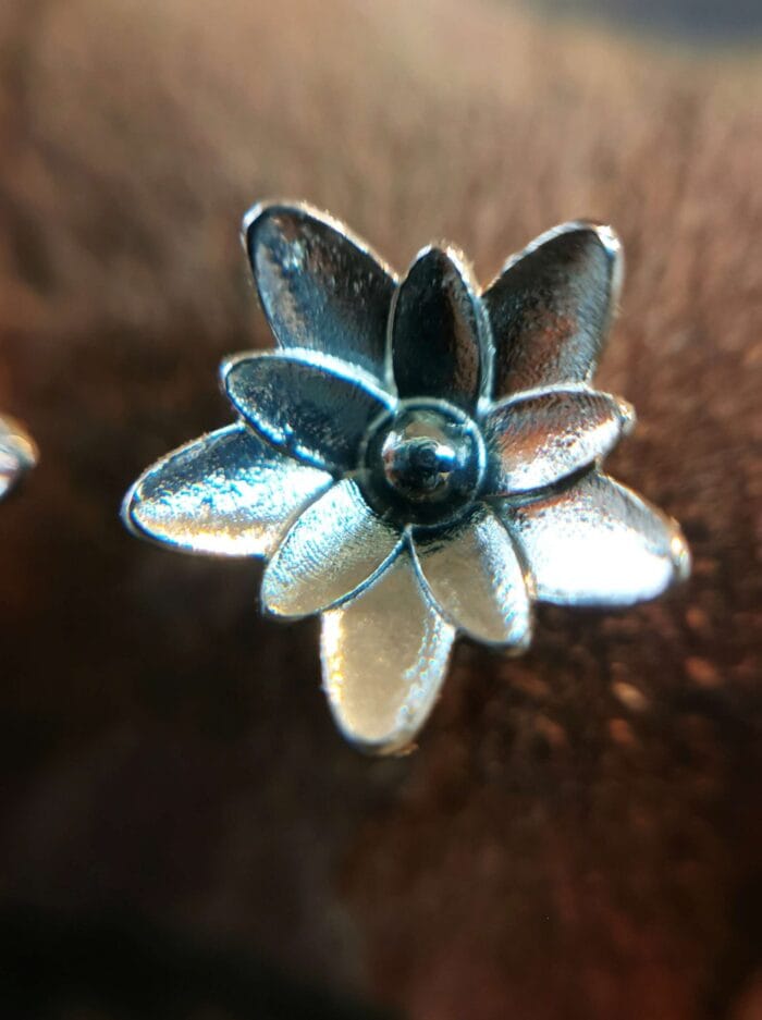 Sidabrinės vandens lelijos - Image 2