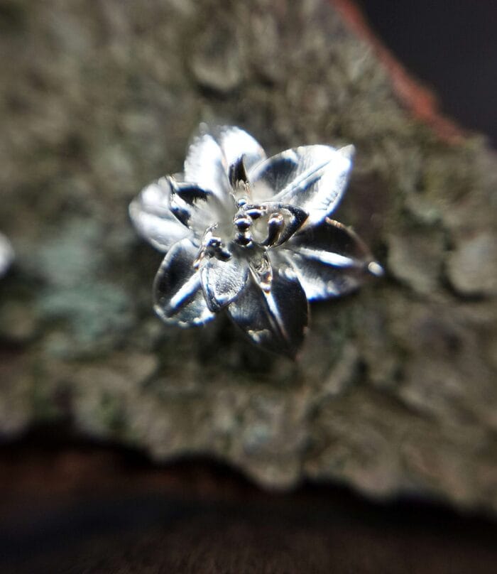 Sidabrinės lelijos - Image 2