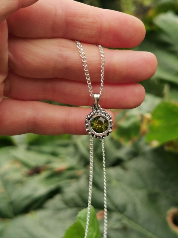 Žalia saulė – Paveikslėlis 2