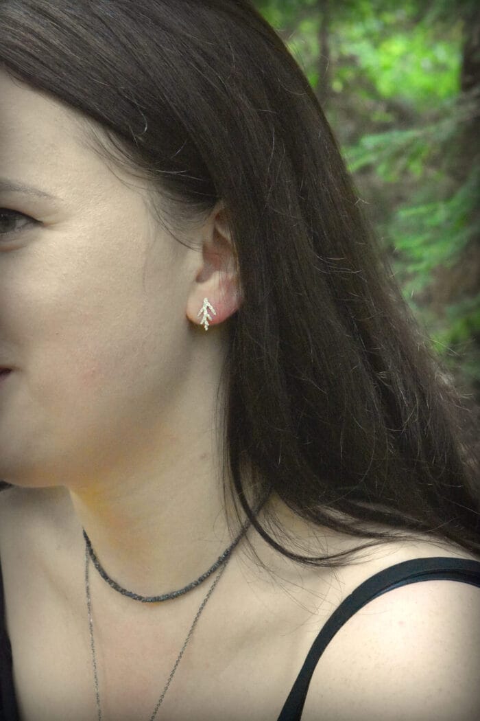 Mažosios sidabro eglutės – Paveikslėlis 3