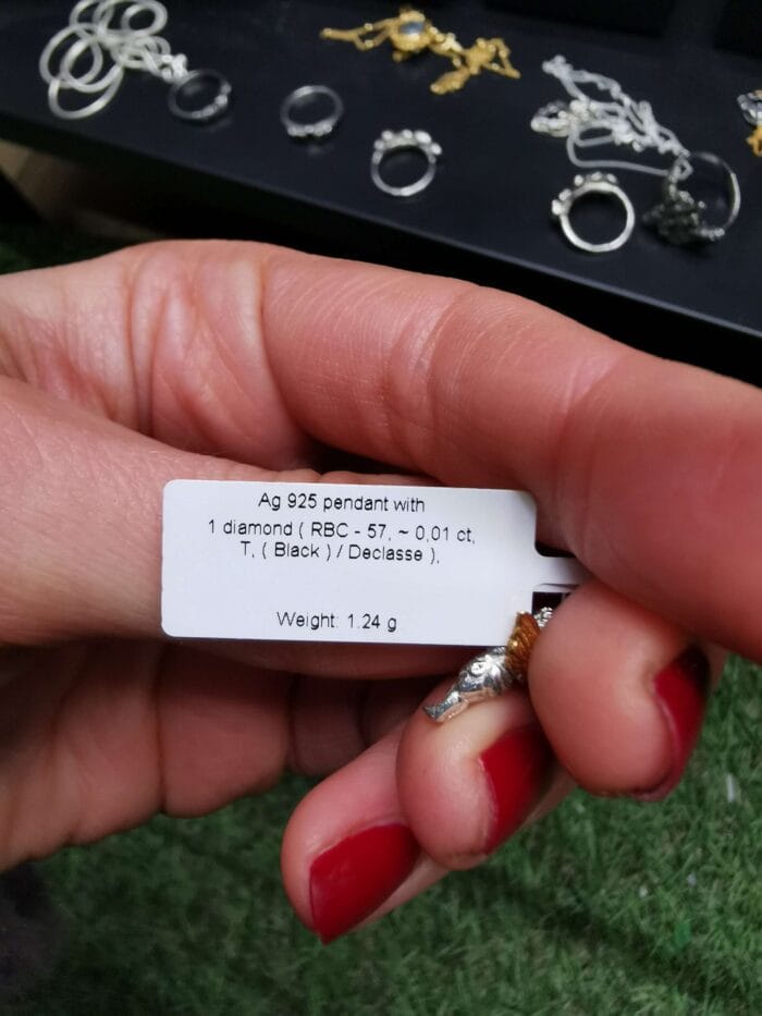 Dangiškasis globėjas III – Paveikslėlis 4