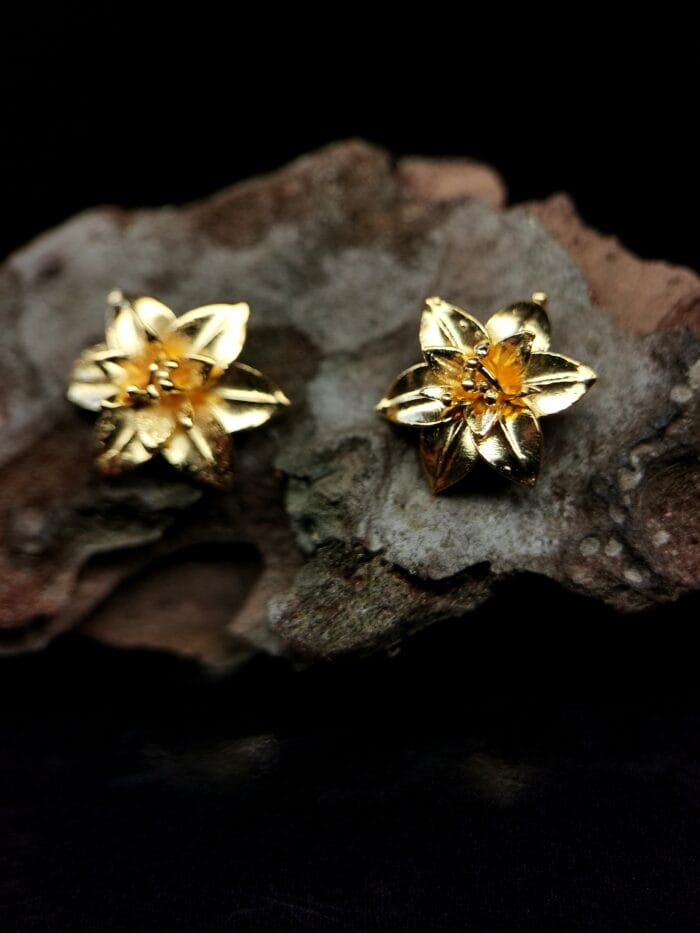 oznorCO Auksuotos lelijos – Paveikslėlis 1