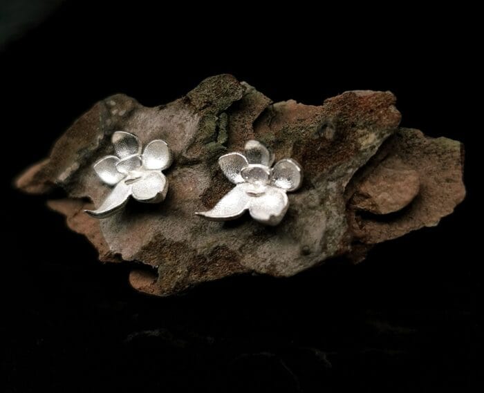 Sidabrinės orchidėjos - Image 3