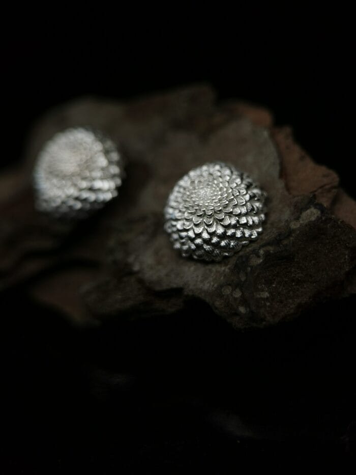 Sidabriniai jurginai - Image 3