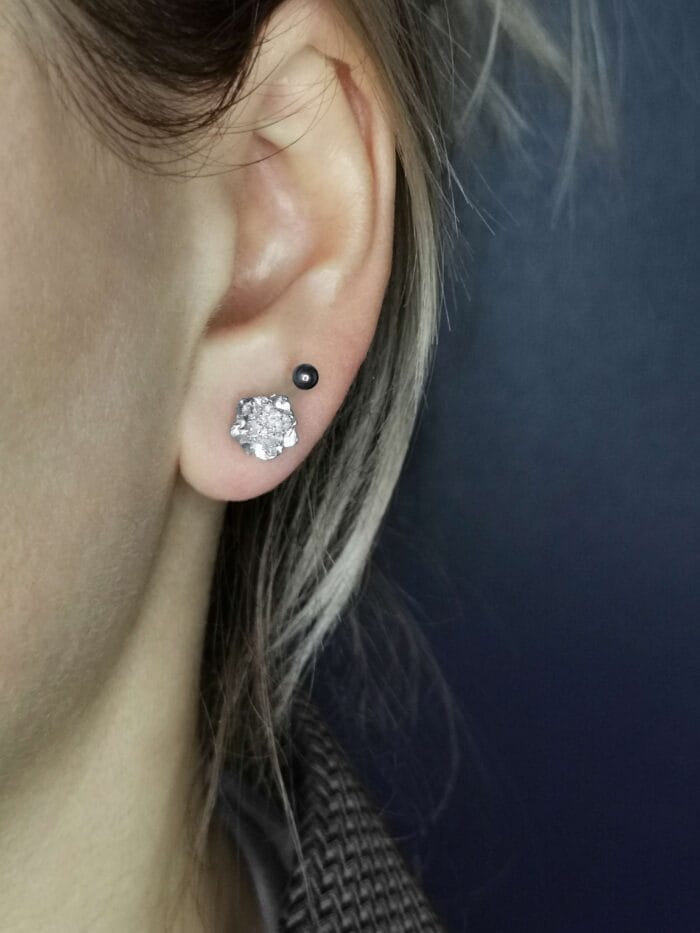 Sidabriniai gvazdikai – Paveikslėlis 3