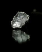 Arktis – Paveikslėlis 6