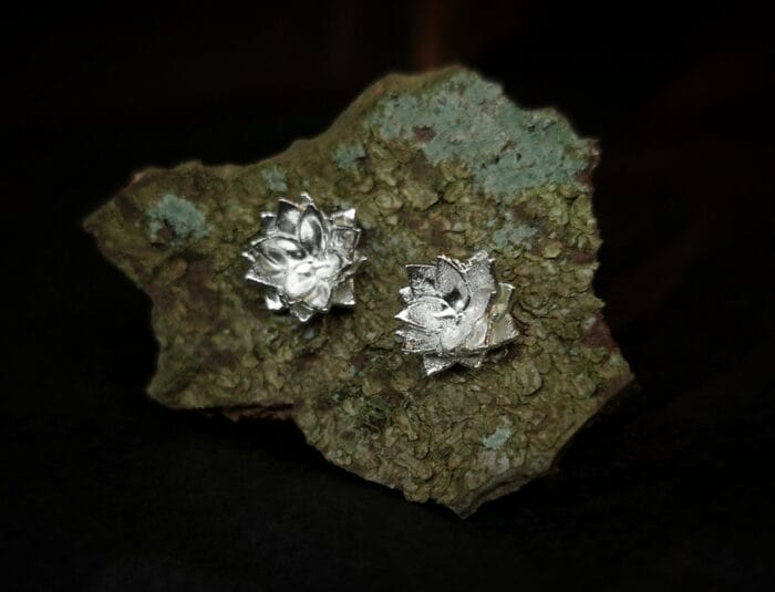 0649fc_34217bb12c9b401ab3aa4cb00262071emv2.jpg Sidabriniai lotusai – Paveikslėlis 1