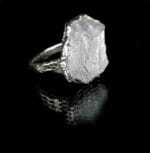 Arktis – Paveikslėlis 3