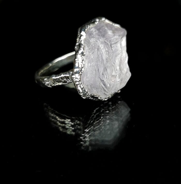 Arktis – Paveikslėlis 3