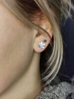 Sidabriniai narcizai - Image 5