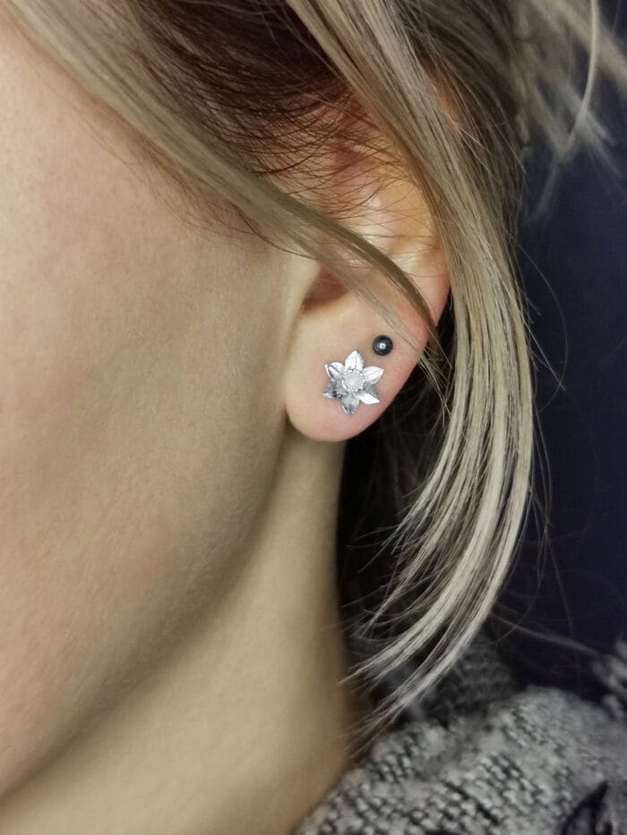 Sidabriniai narcizai – Paveikslėlis 5