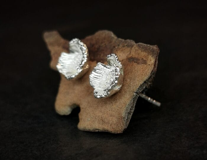 Sidabrinės aguonos – Paveikslėlis 2