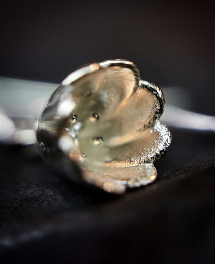 Sidabrinės tulpės - Image 3