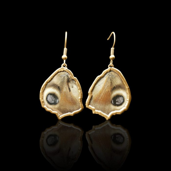 0649fc_6bdd9507127c458d81101b5727e3db6bmv2.jpg Spungės – Paveikslėlis 1