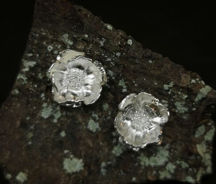 Sidabrinės plukės – Paveikslėlis 2