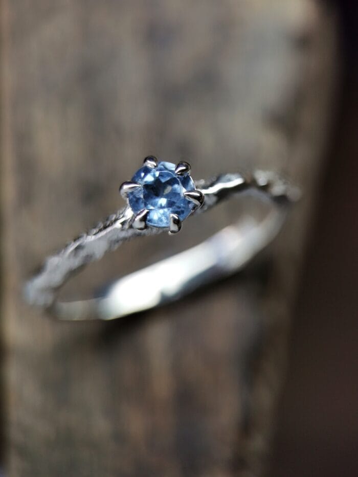 oznorCO Ledo žvaigždė – Paveikslėlis 1