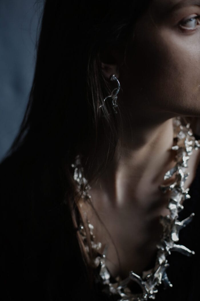 Kaulų karoliai – Paveikslėlis 3