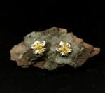 Auksuotos lelijos – Paveikslėlis 3