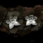 Sidabrinės orchidėjos