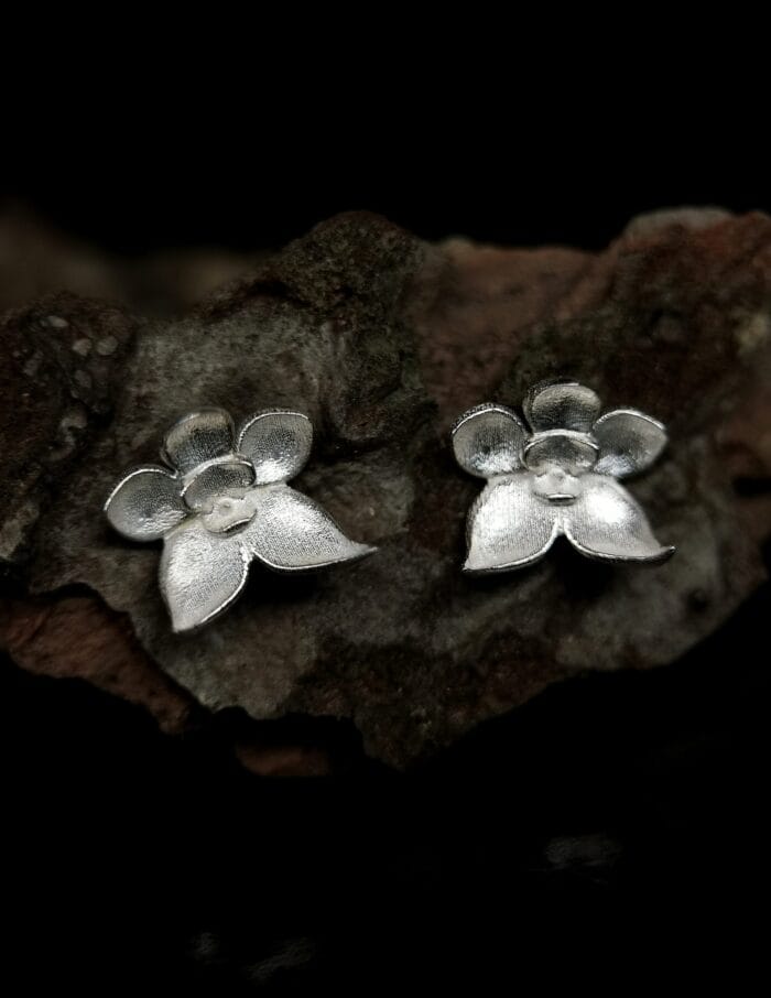 oznorCO Sidabrinės orchidėjos – Paveikslėlis 1