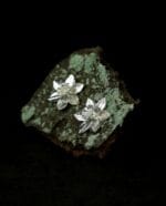 Sidabriniai narcizai - Image 3