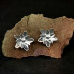 Sidabrinės vandens lelijos