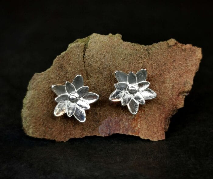 0649fc_887a603fa1534a6e9749b03a54e4b7f3mv2.jpg Sidabrinės vandens lelijos – Paveikslėlis 1