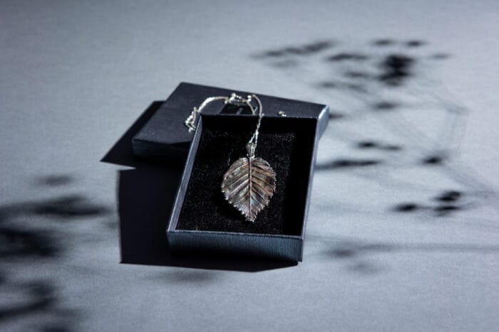 Sidabrinis lapelis – Paveikslėlis 3