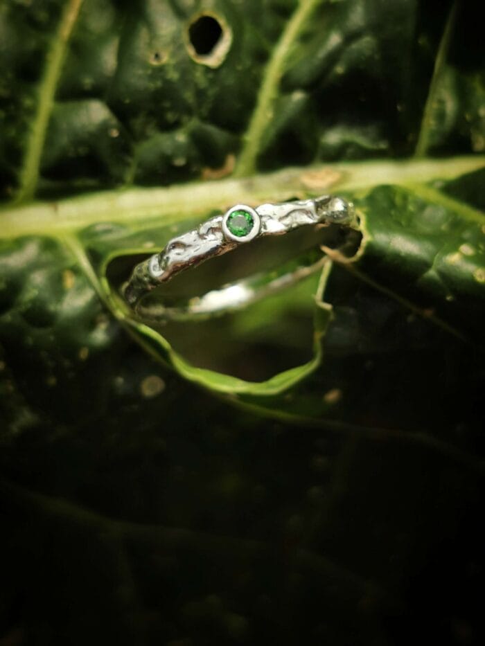 Žalčio akis - Image 2