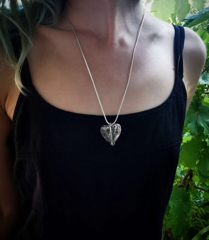 Žvaigždžių uoga - Image 2