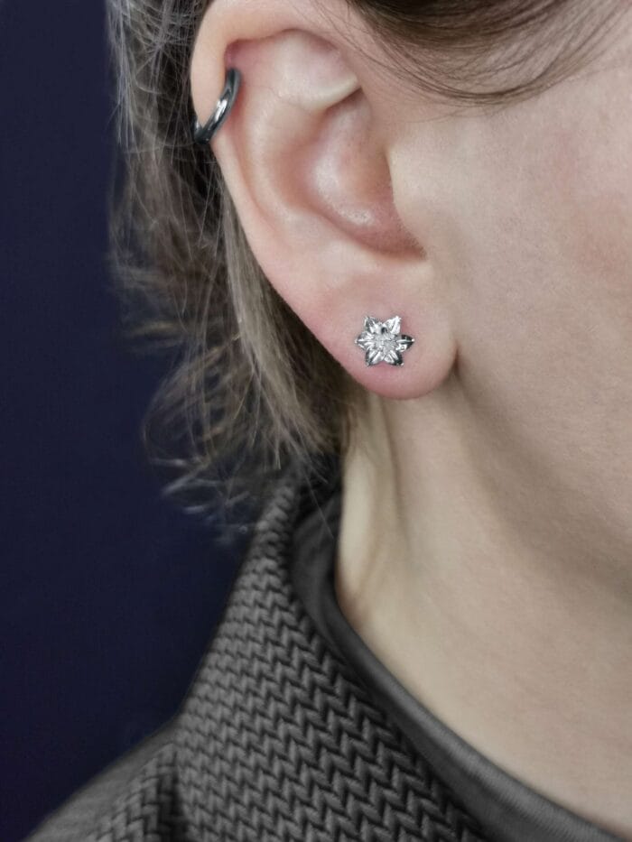 Sidabrinės lelijos - Image 3