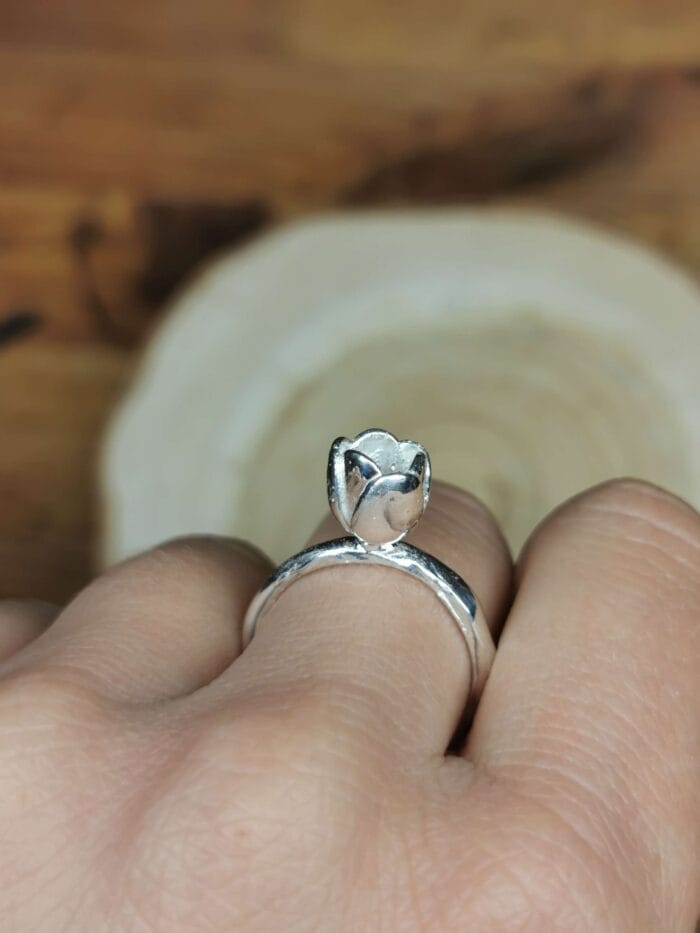 Žiedas žiedas – Paveikslėlis 4