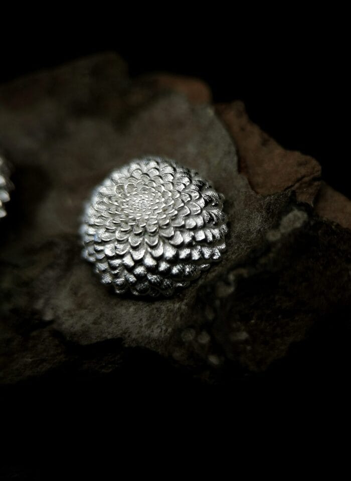 Sidabriniai jurginai - Image 4