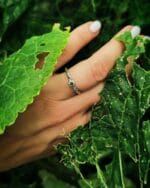 Žalčio akis - Image 3