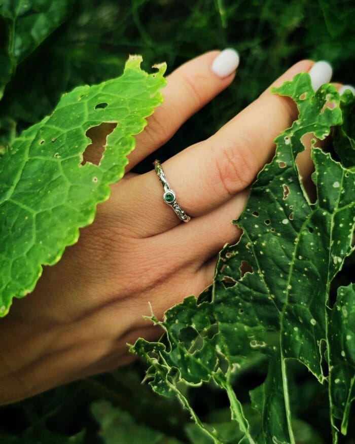 Žalčio akis - Image 3