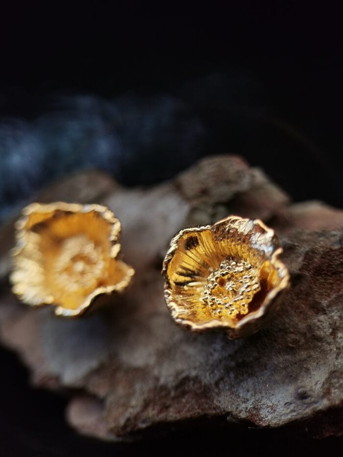 0649fc_9b2a782cb2b74d4197b9a6f05339726dmv2.jpg Auksuotos aguonos - Image 1