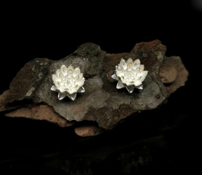 Sidabrinės vandens lelijos - Image 2