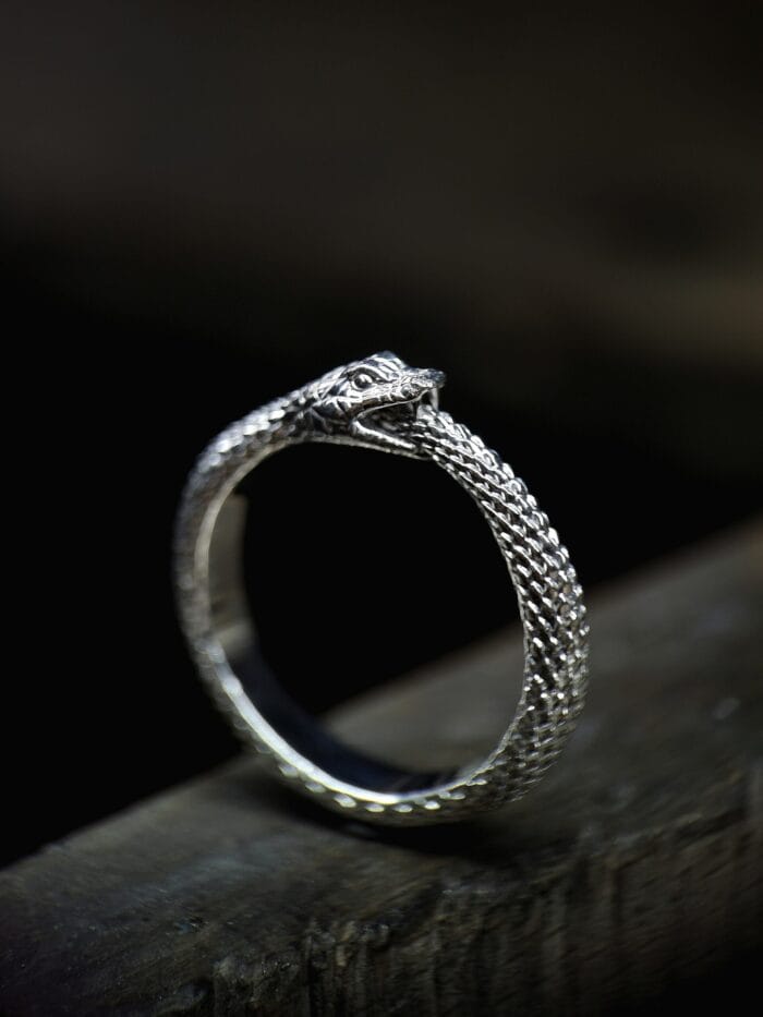 Ouroborus – Paveikslėlis 6