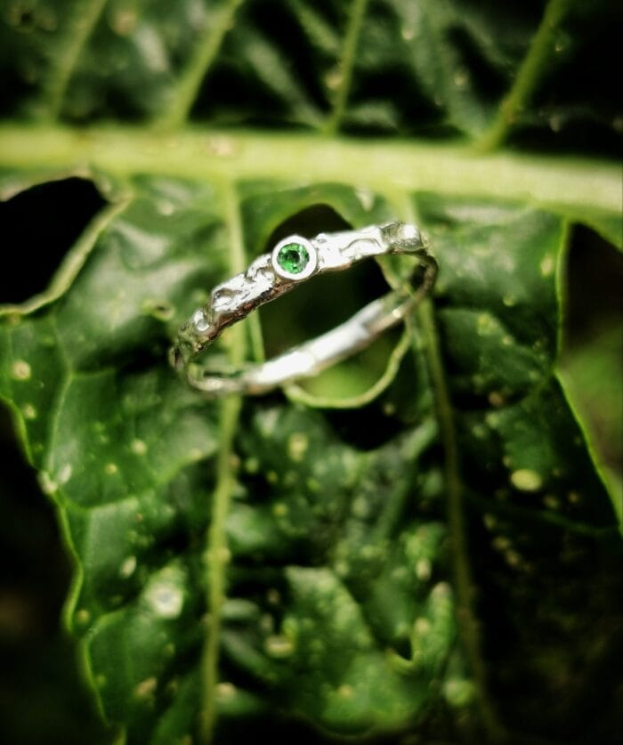 Žalčio akis - Image 4