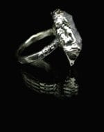 Arktis – Paveikslėlis 5