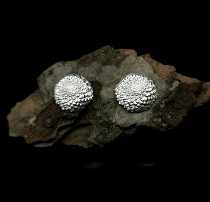 Sidabriniai jurginai - Image 2