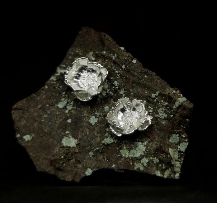 0649fc_a680314ace8f4695823253b41ac43cbemv2.jpg Sidabrinės plukės – Paveikslėlis 1