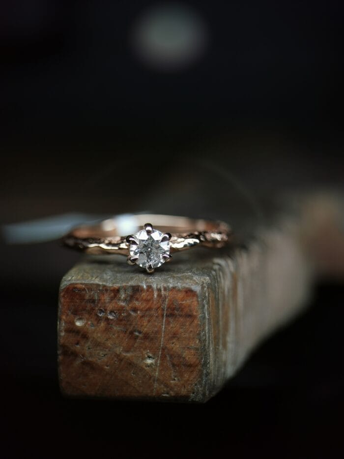 Žemės galia – Paveikslėlis 4