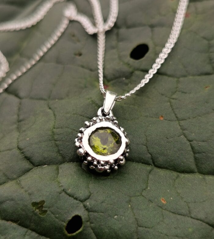 Žalia saulė – Paveikslėlis 3