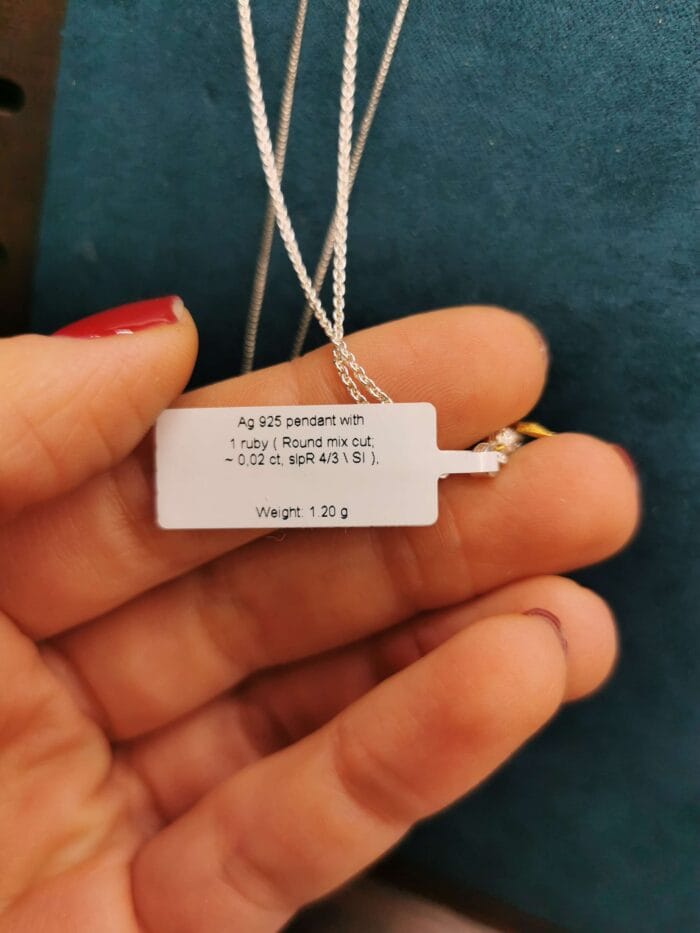 Dangiškasis globėjas - Image 2